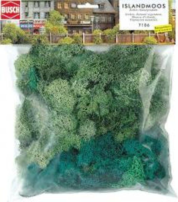 Paquet géant de lichen