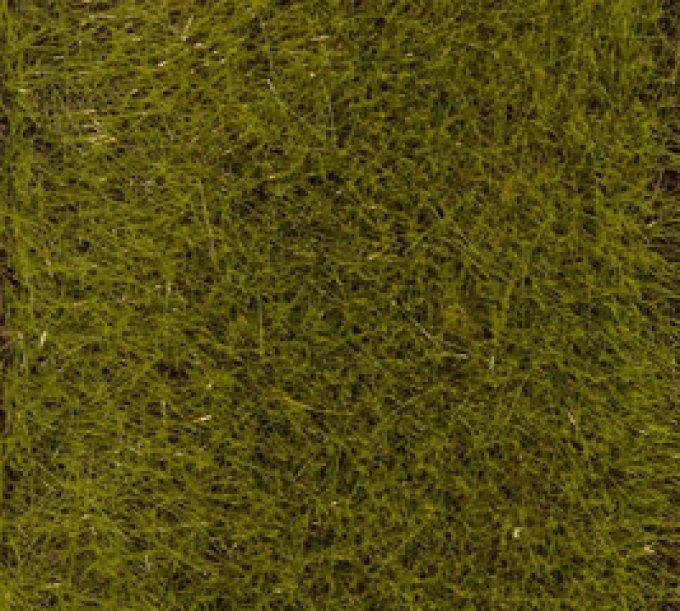 Flocage prairie prenium 30g 6mm