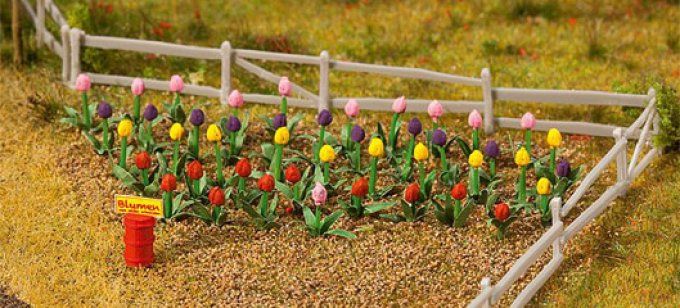 Tulipes 36 pieces