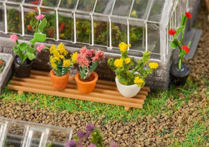 PLANTES EN POT 6PCS