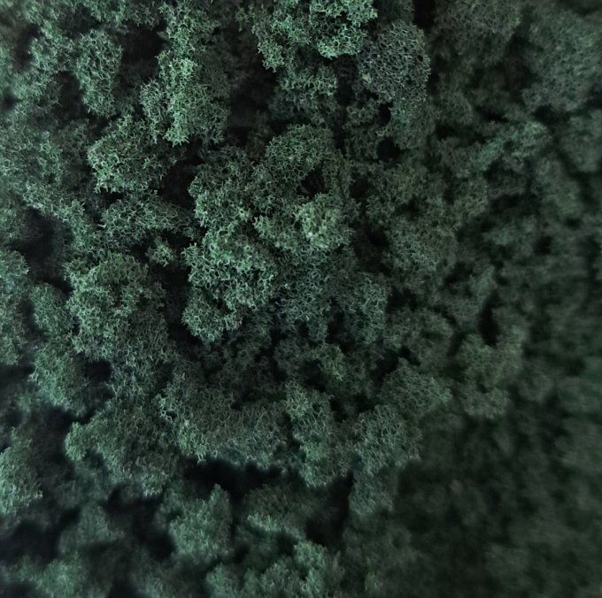 Flocage moyen Vert Forêt pot 1 litre