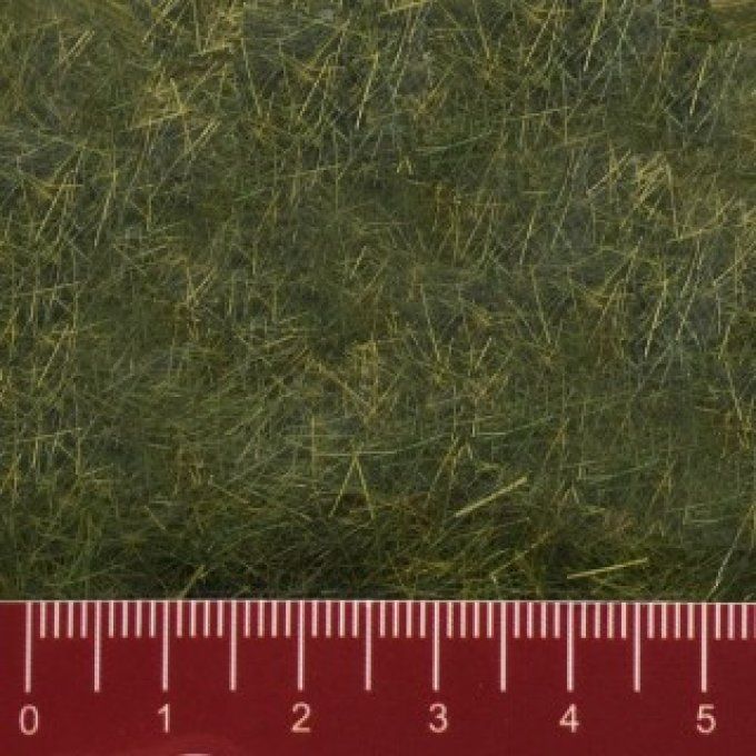 HERBES SAUVAGES  PRE 6mm   50G