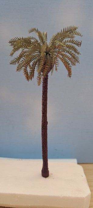 PALMIER DATTIER 16CM